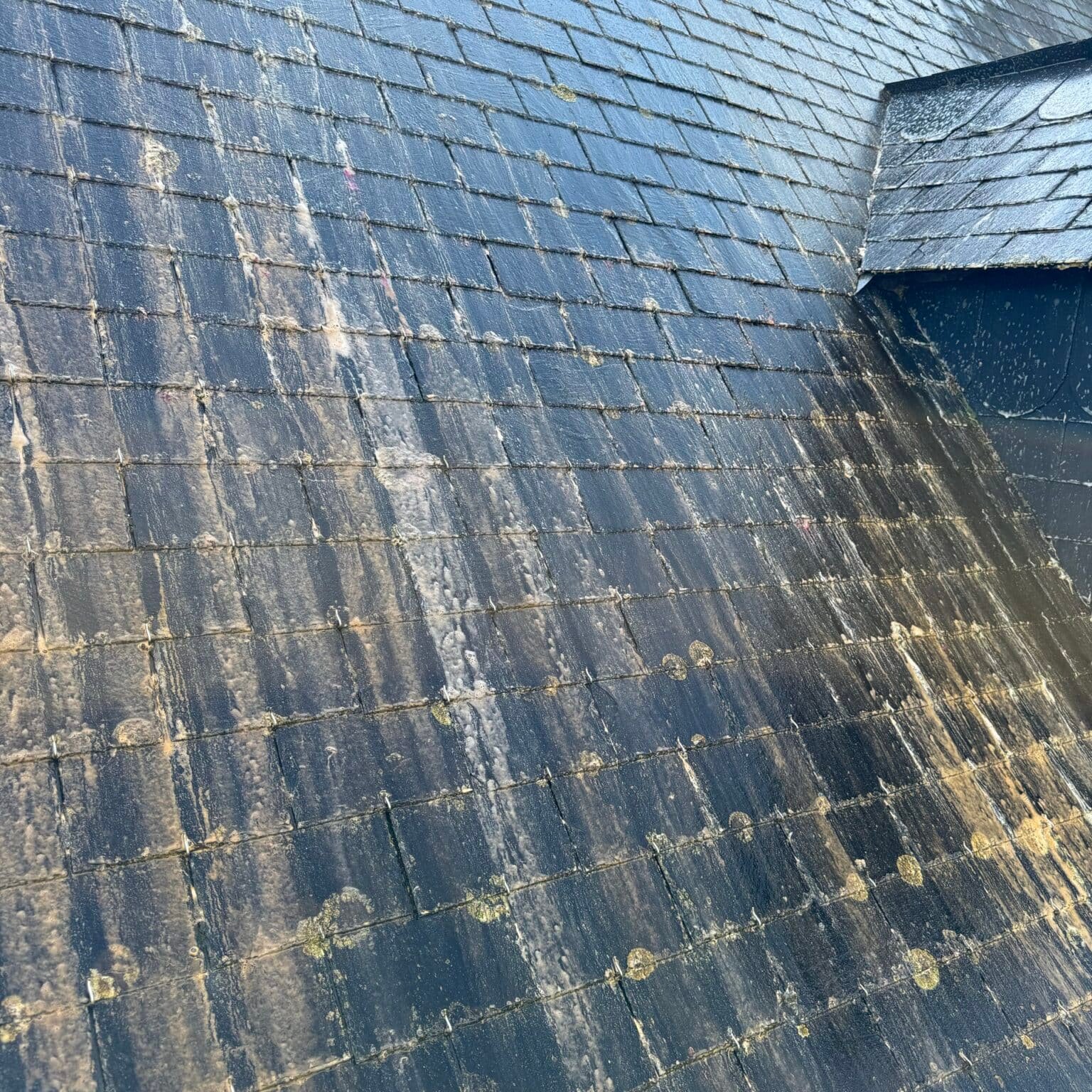 Frp-couverture - Comment entretenir sa couverture pour prolonger sa durée de vie et réduire son impact environnemental ? - Featured Image 1