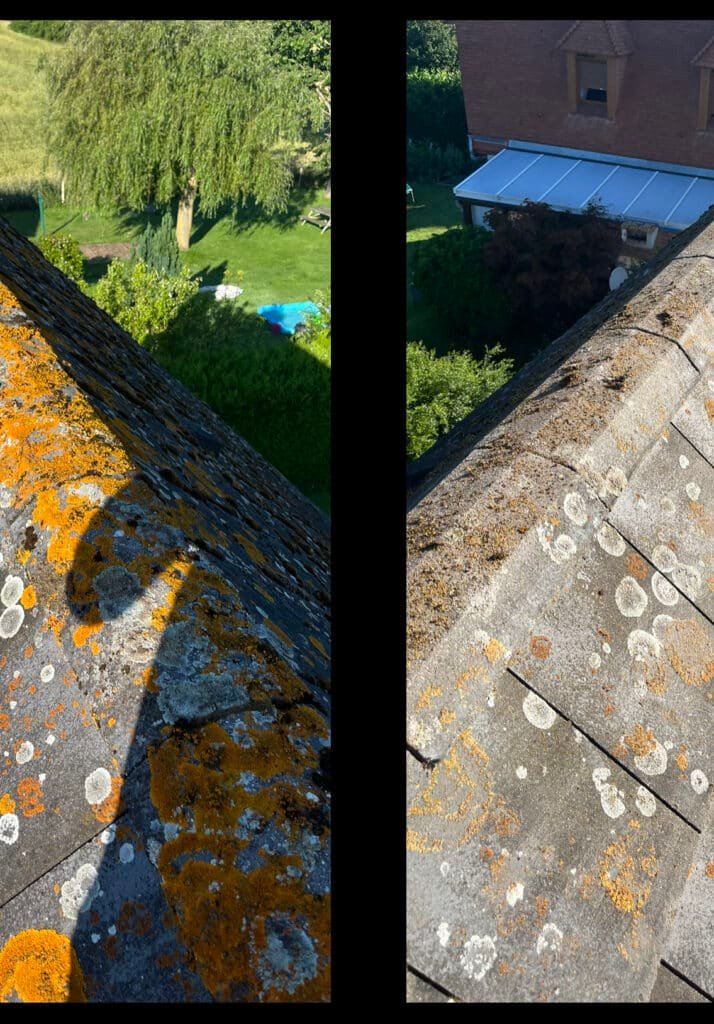 Frp-couverture - Comment éliminer durablement la mousse sur ma toiture sans produits toxiques et améliorer l'efficacité énergétique ? - Featured Image 1